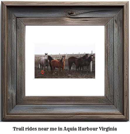 trail rides near me in Aquia Harbour, Virginia